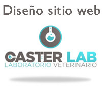 Construccin Sitio Web